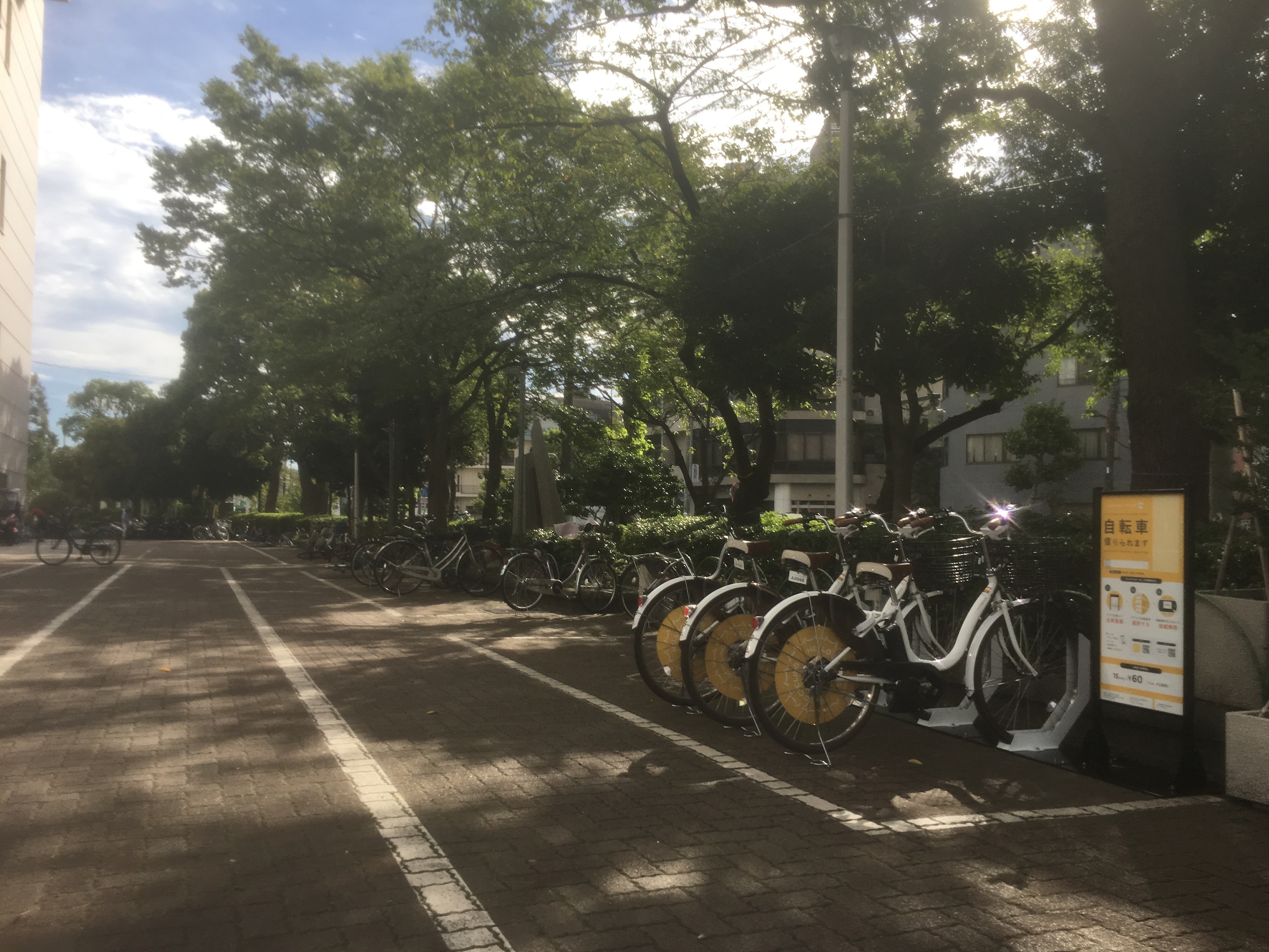 台東区リバーサイドスポーツセンター (HELLO CYCLING ポート) image