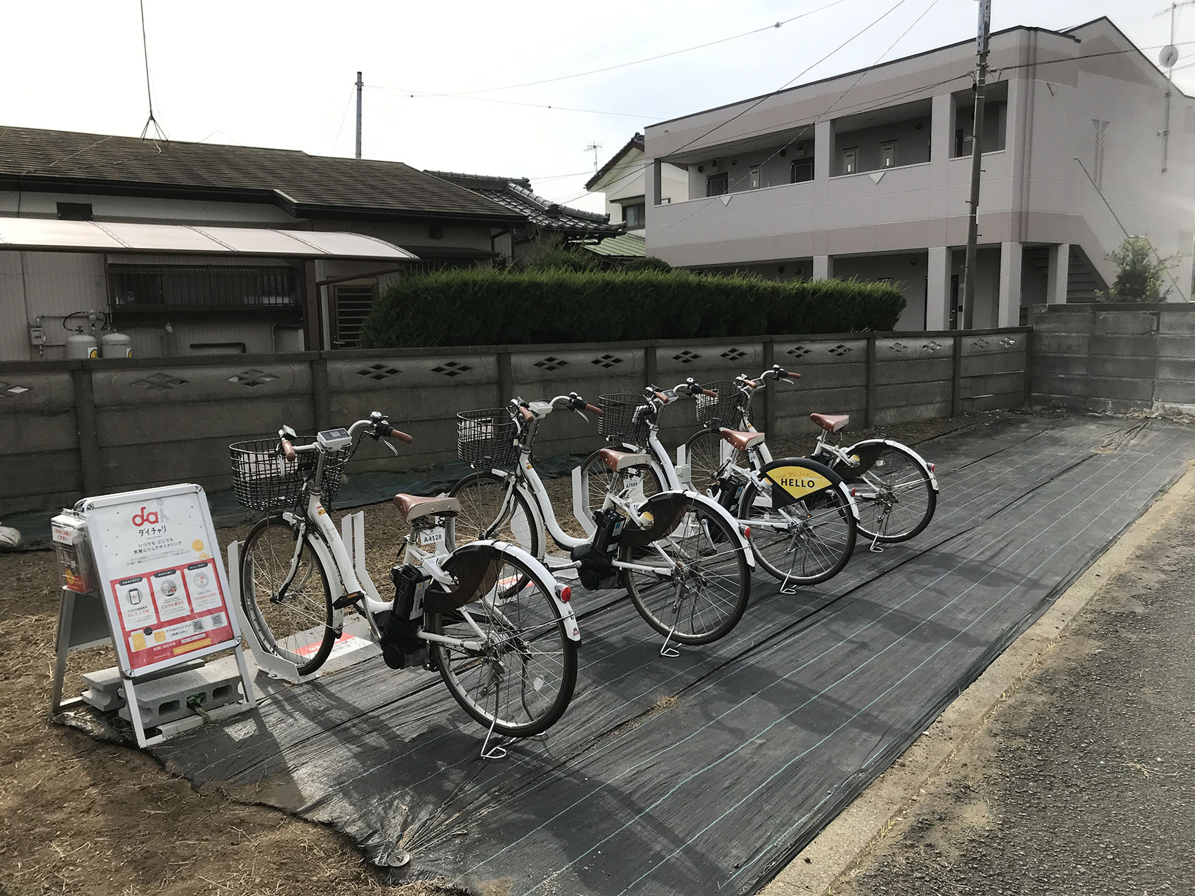 平塚市サイクリング 