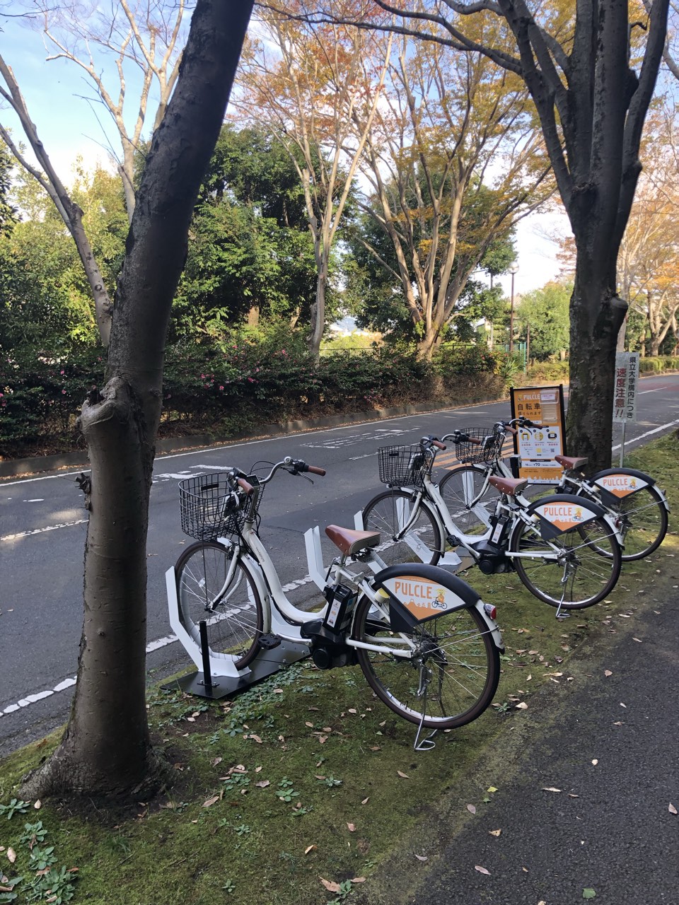 静岡県立大学(並木通り) (HELLO CYCLING ポート) image