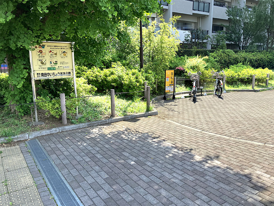 南田中いちょう並木公園