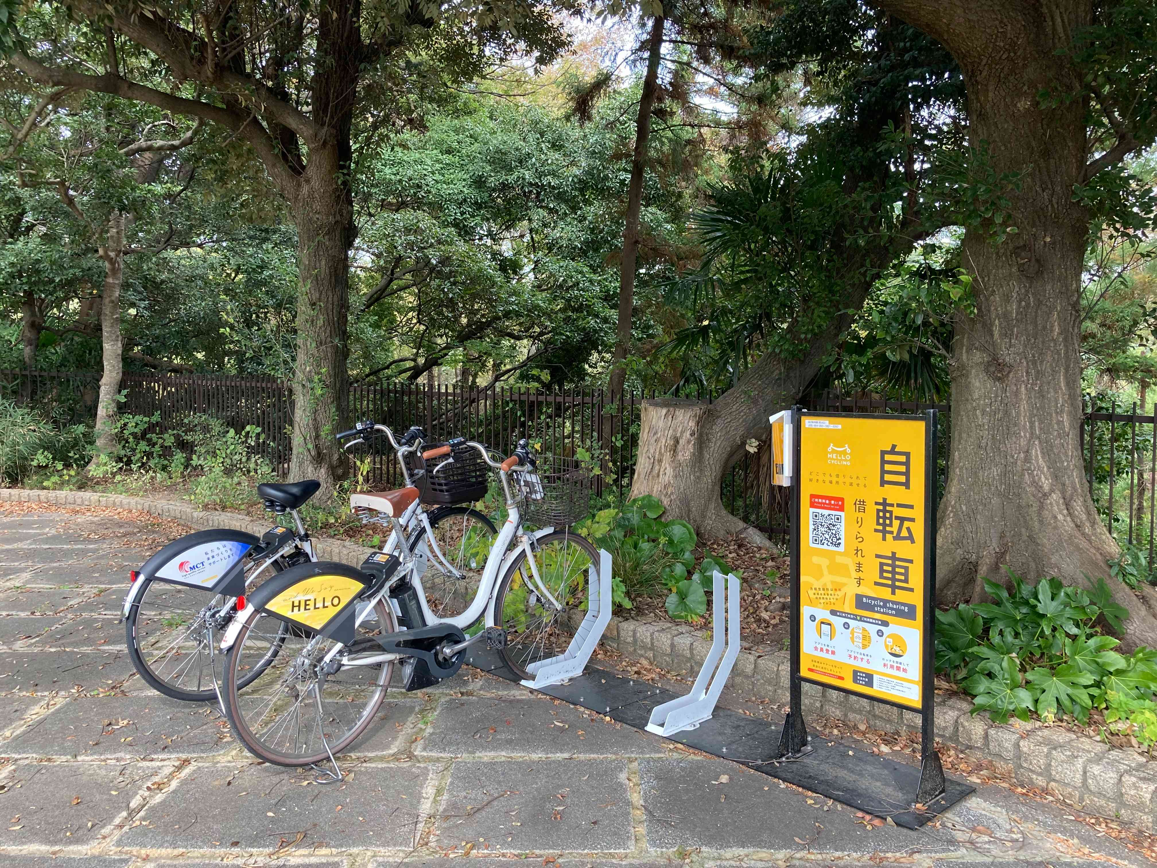 金沢動物園 夏山口付近 (HELLO CYCLING ポート) image
