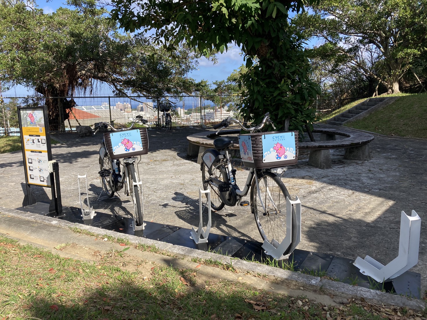 【臨時ステーション】ヤクルトスワローズ春季キャンプ②