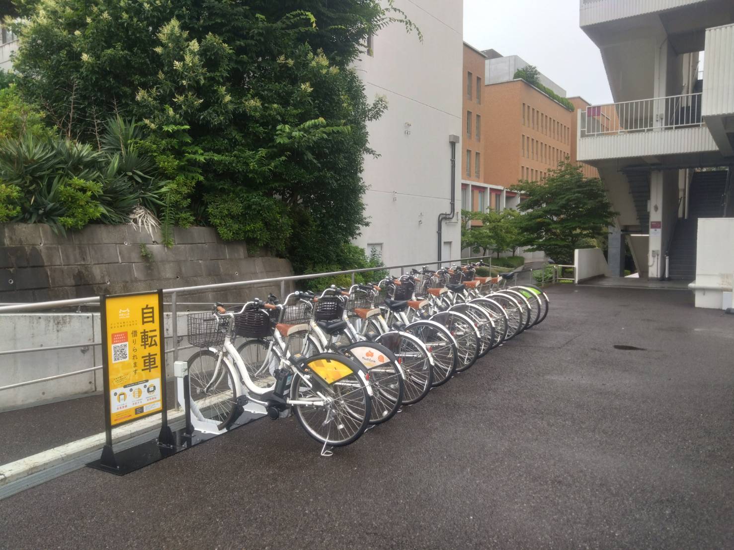 桜美林大学 町田キャンパス (HELLO CYCLING ポート)の画像1