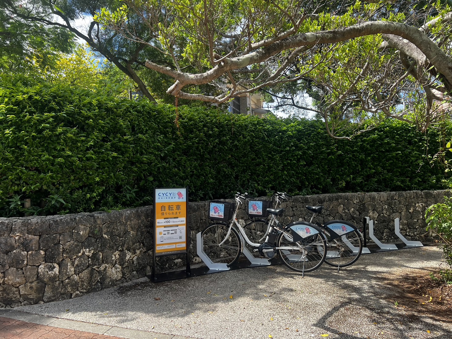 沖縄県立看護大学