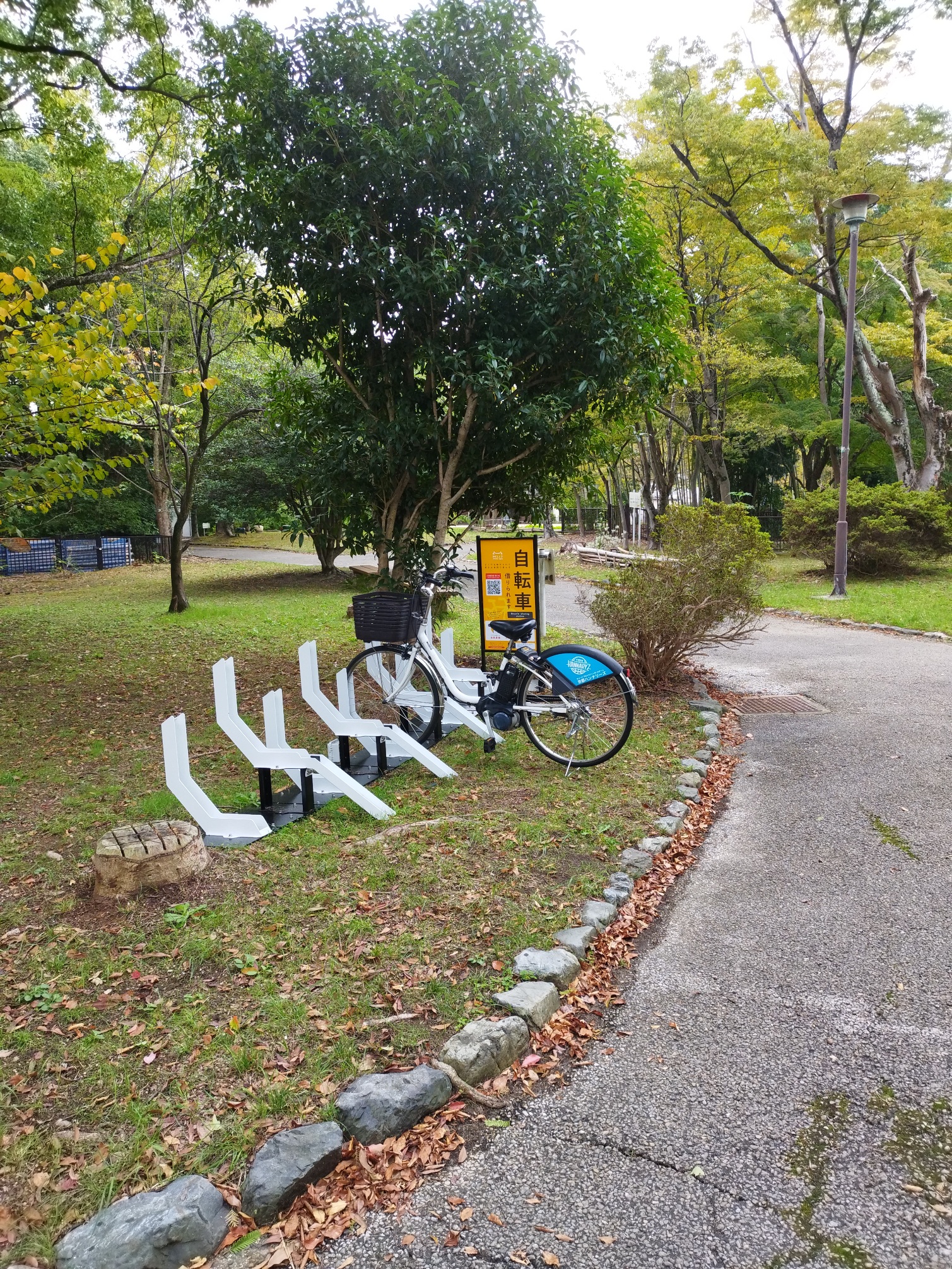 新林池公園（公園東側）