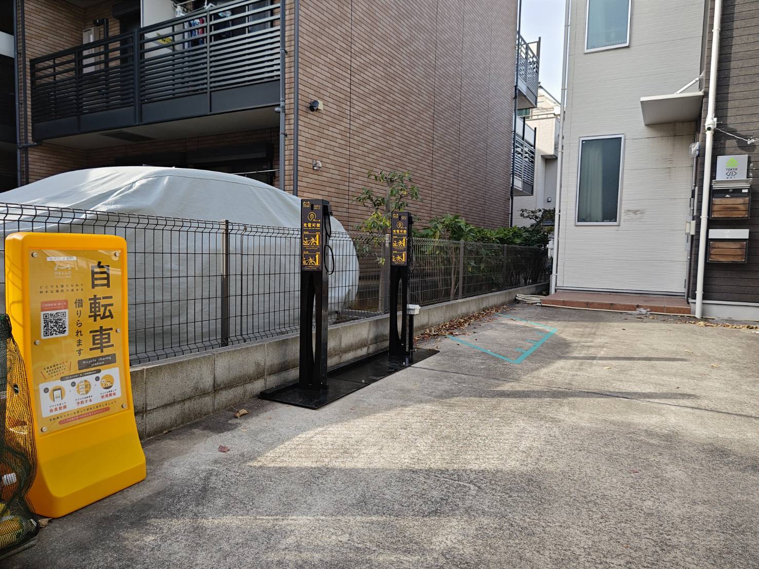 TOKYO β 蓮根5