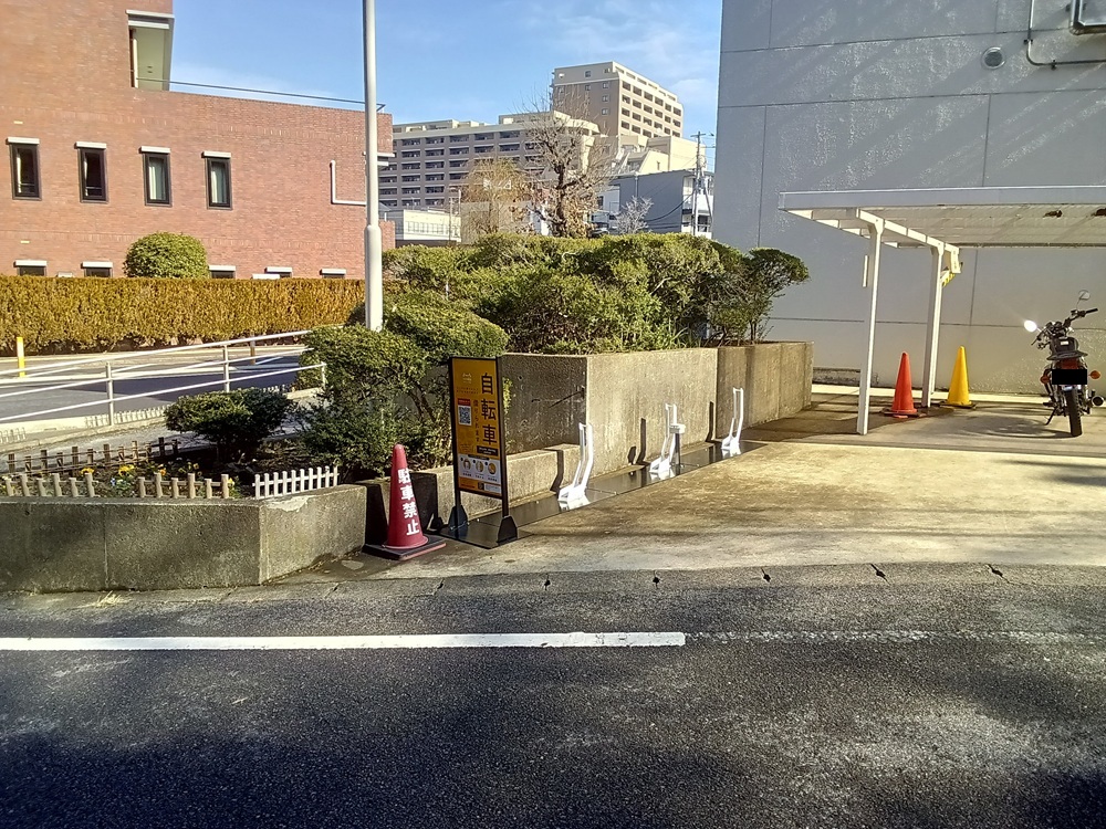 柏市立図書館