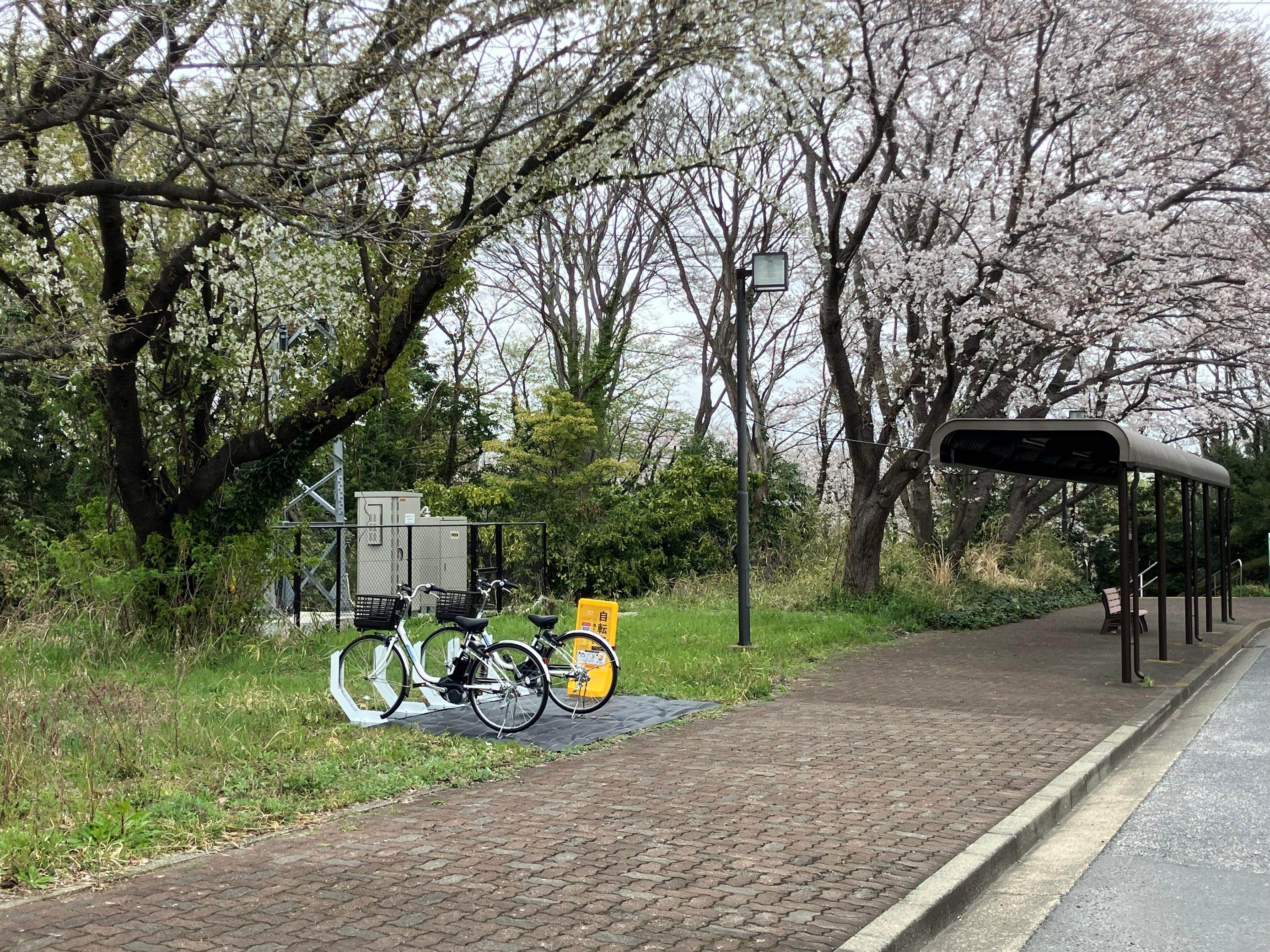 文教大学 湘南キャンパス