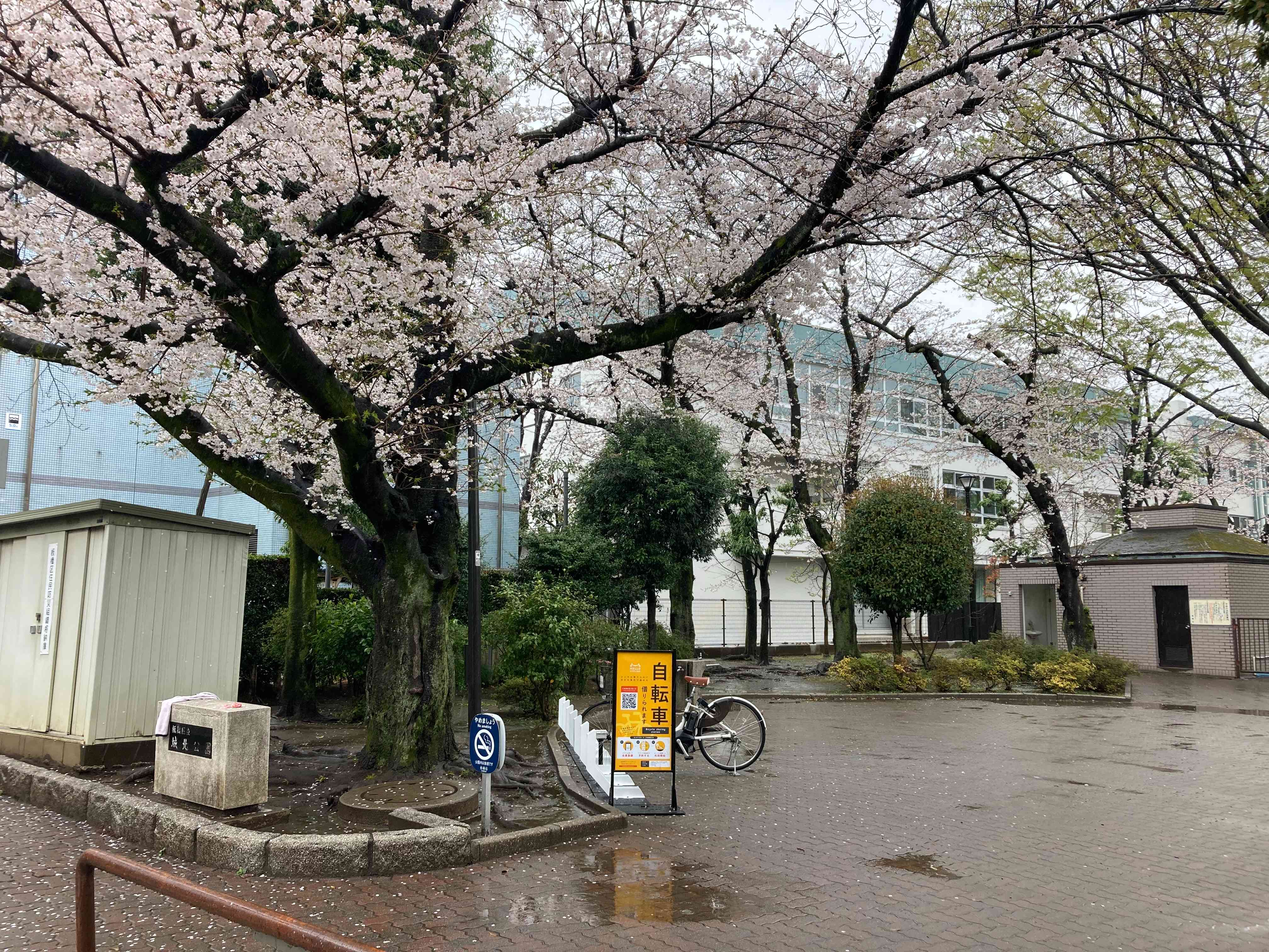 城北公園（板橋区）