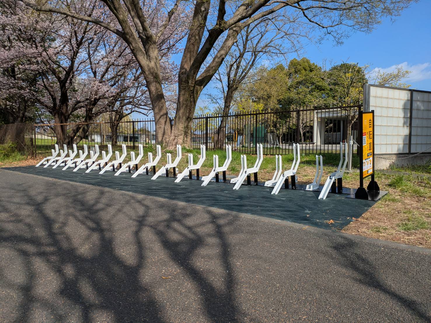 昭和記念公園