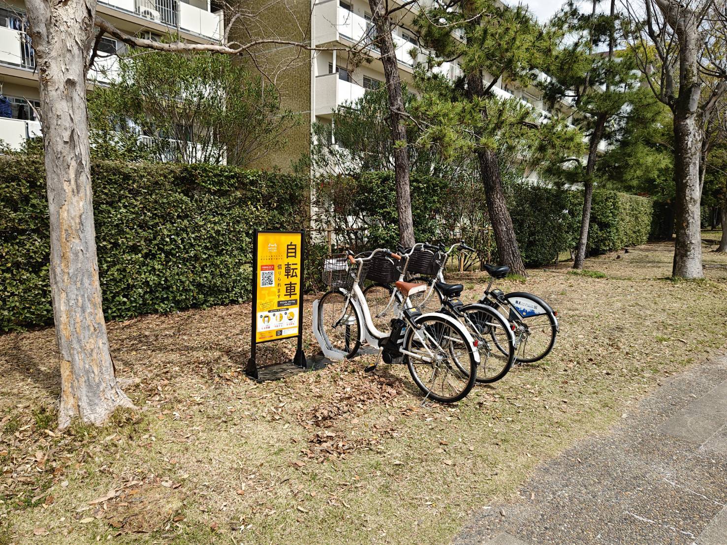 押立公園 西側