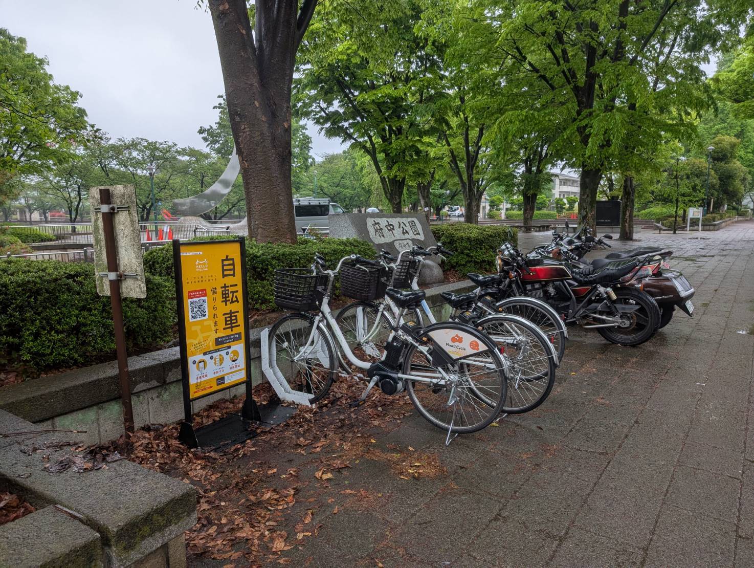 府中公園（ルミエール府中 隣）
