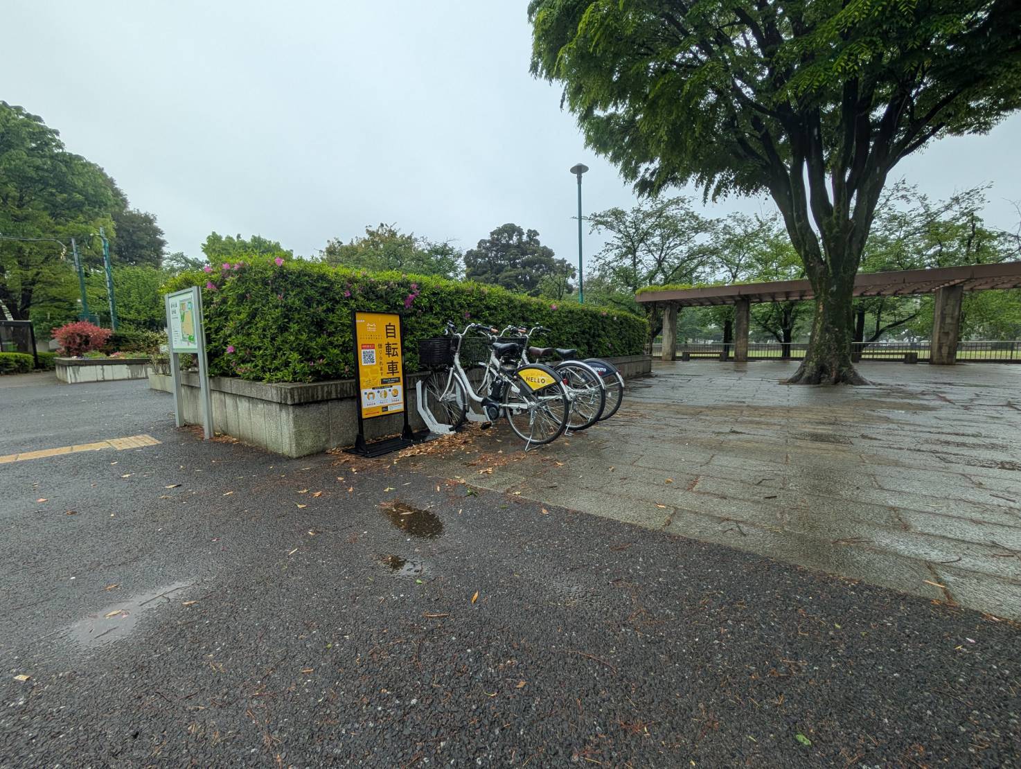府中公園 北側