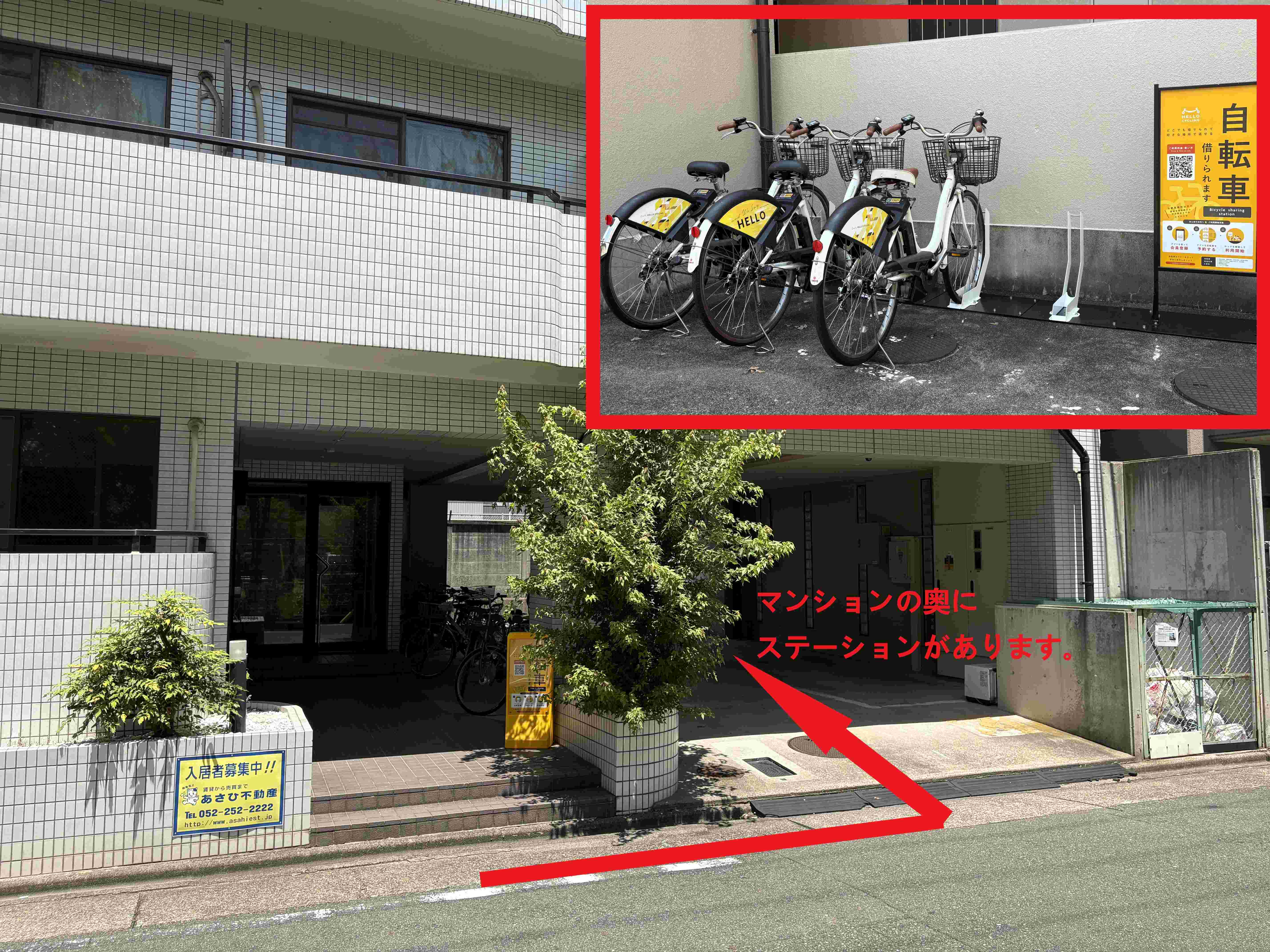 ハウザー高畑