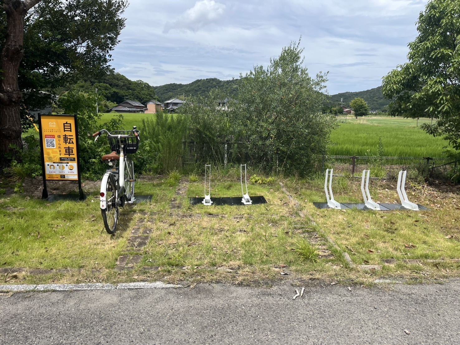 大池オートキャンプ場