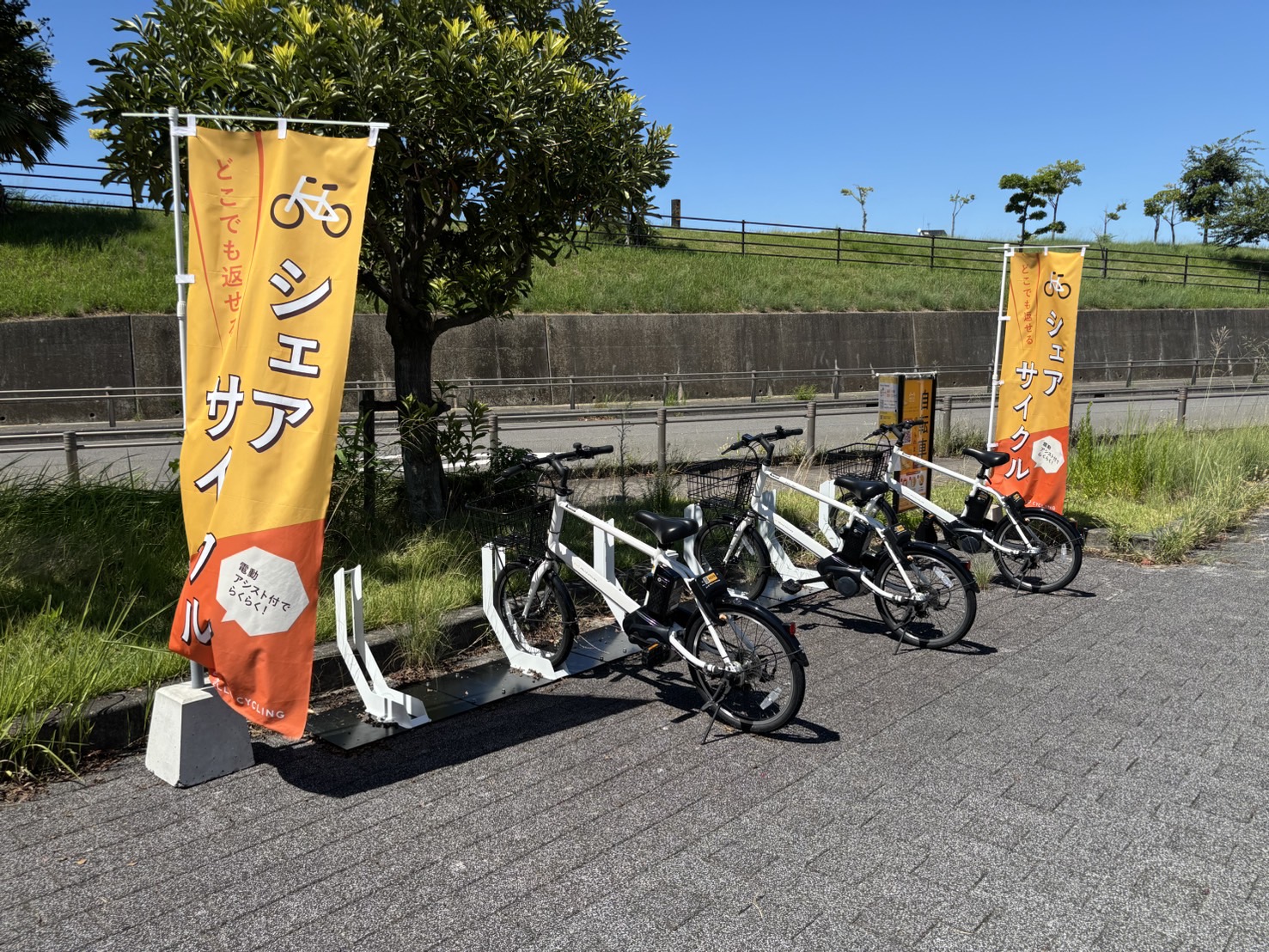 アクアパレット