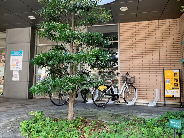 堺市三国ヶ丘庁舎