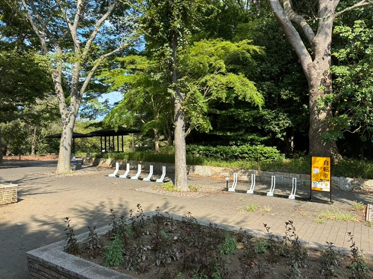 柏の葉公園②