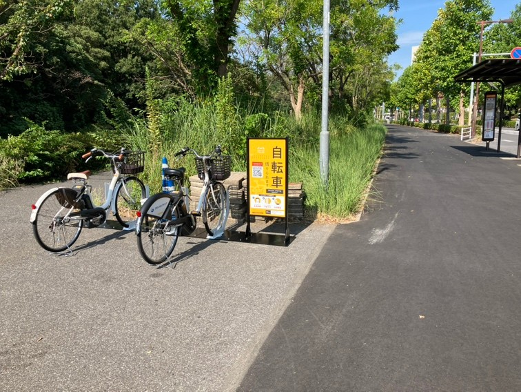 東大前バス停歩道②