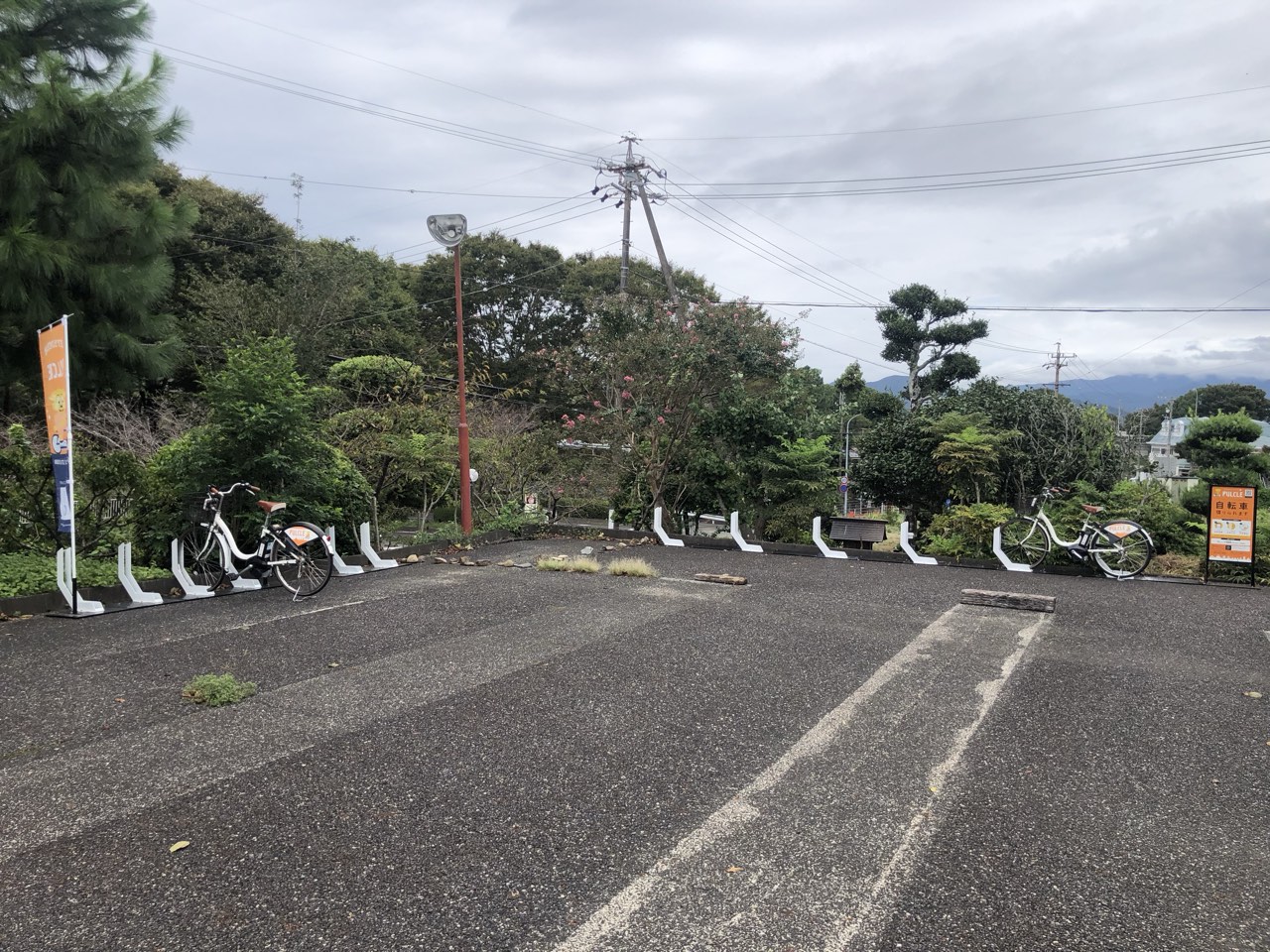 静岡英和学院大学