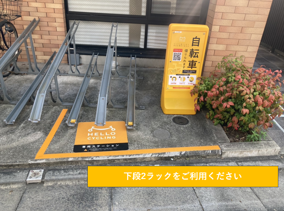 SOU若林