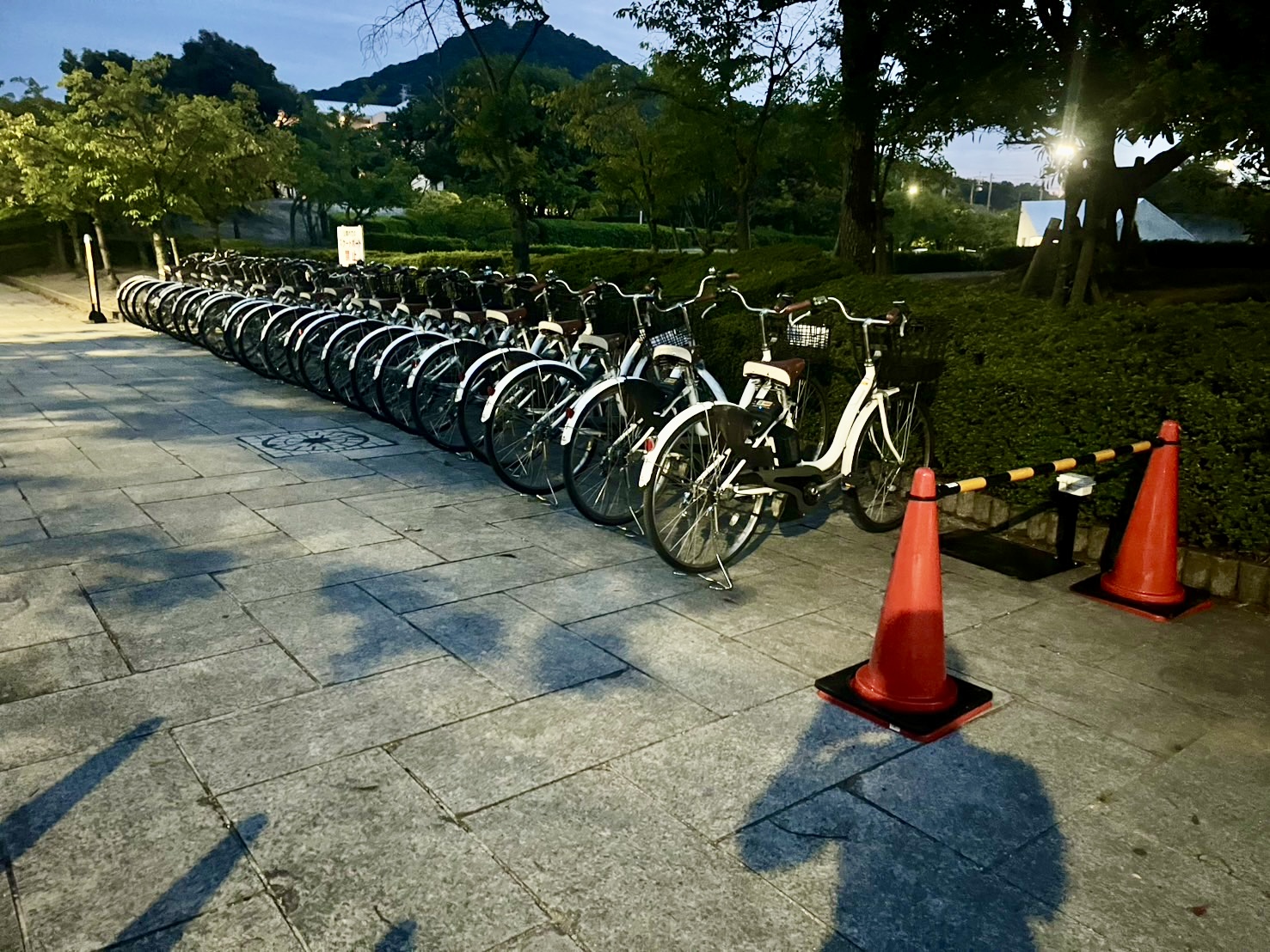 【瀬⼾芸臨時駐⾞場】中央公園