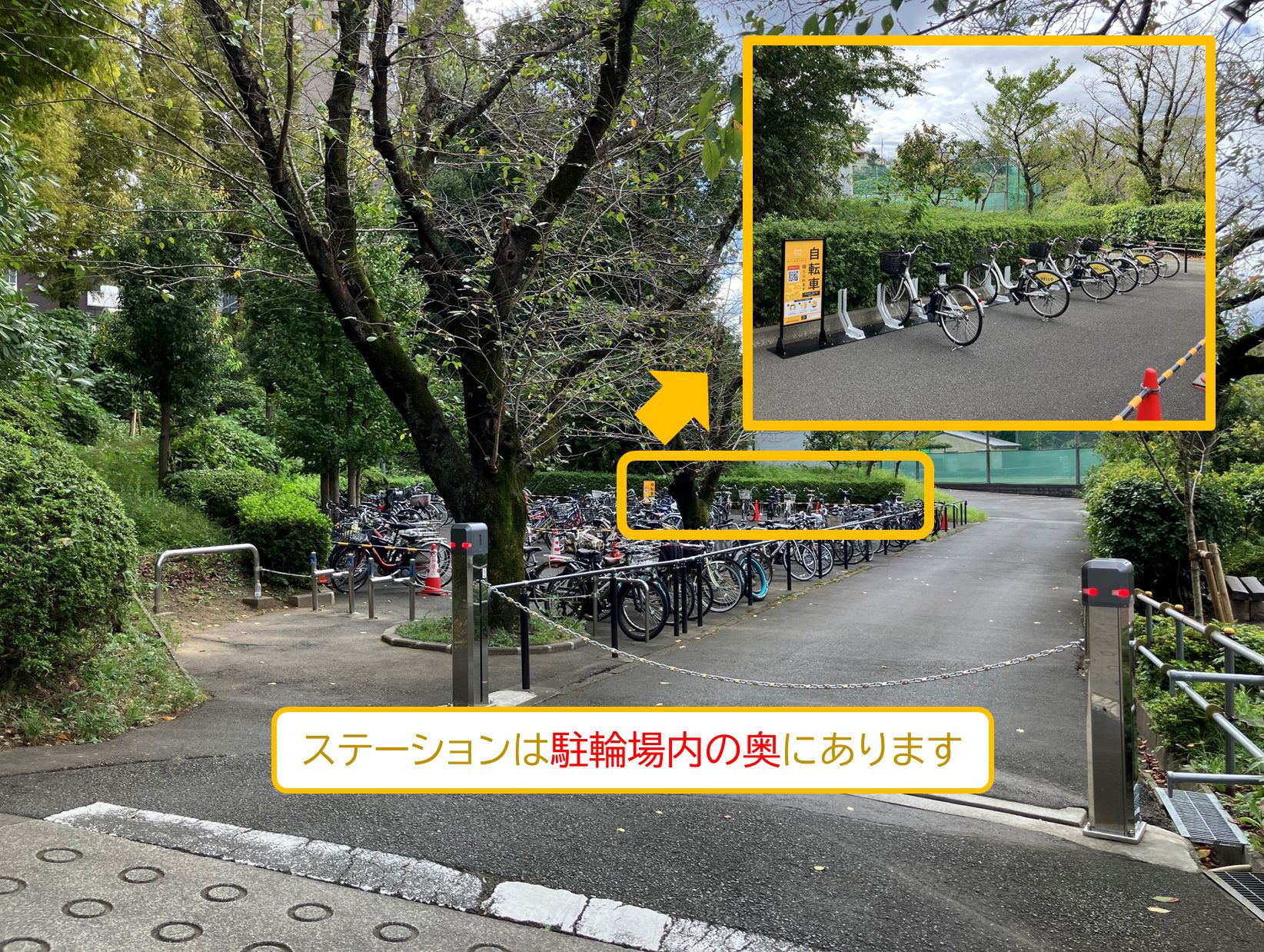 和光大学