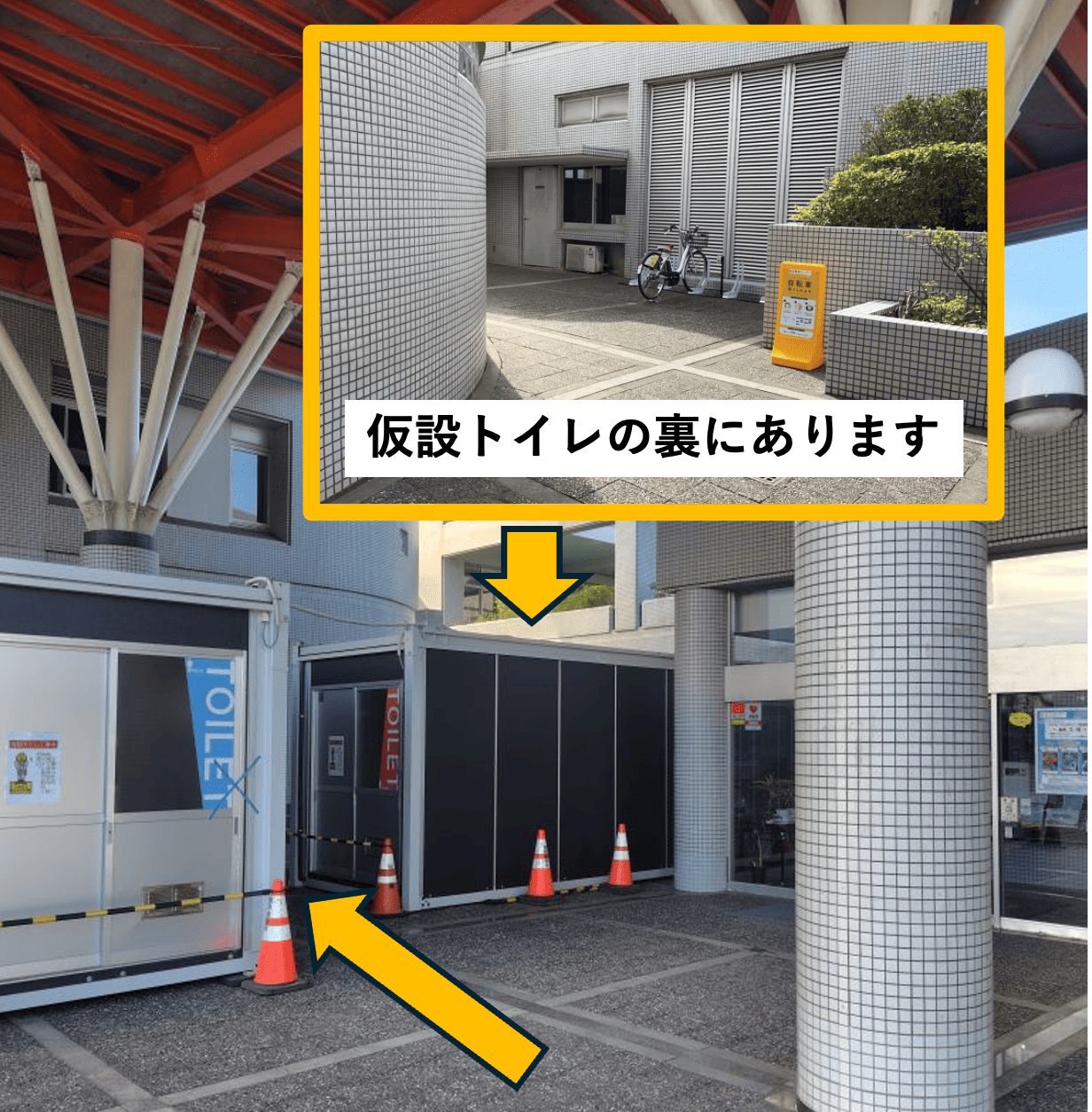 総合教育センター