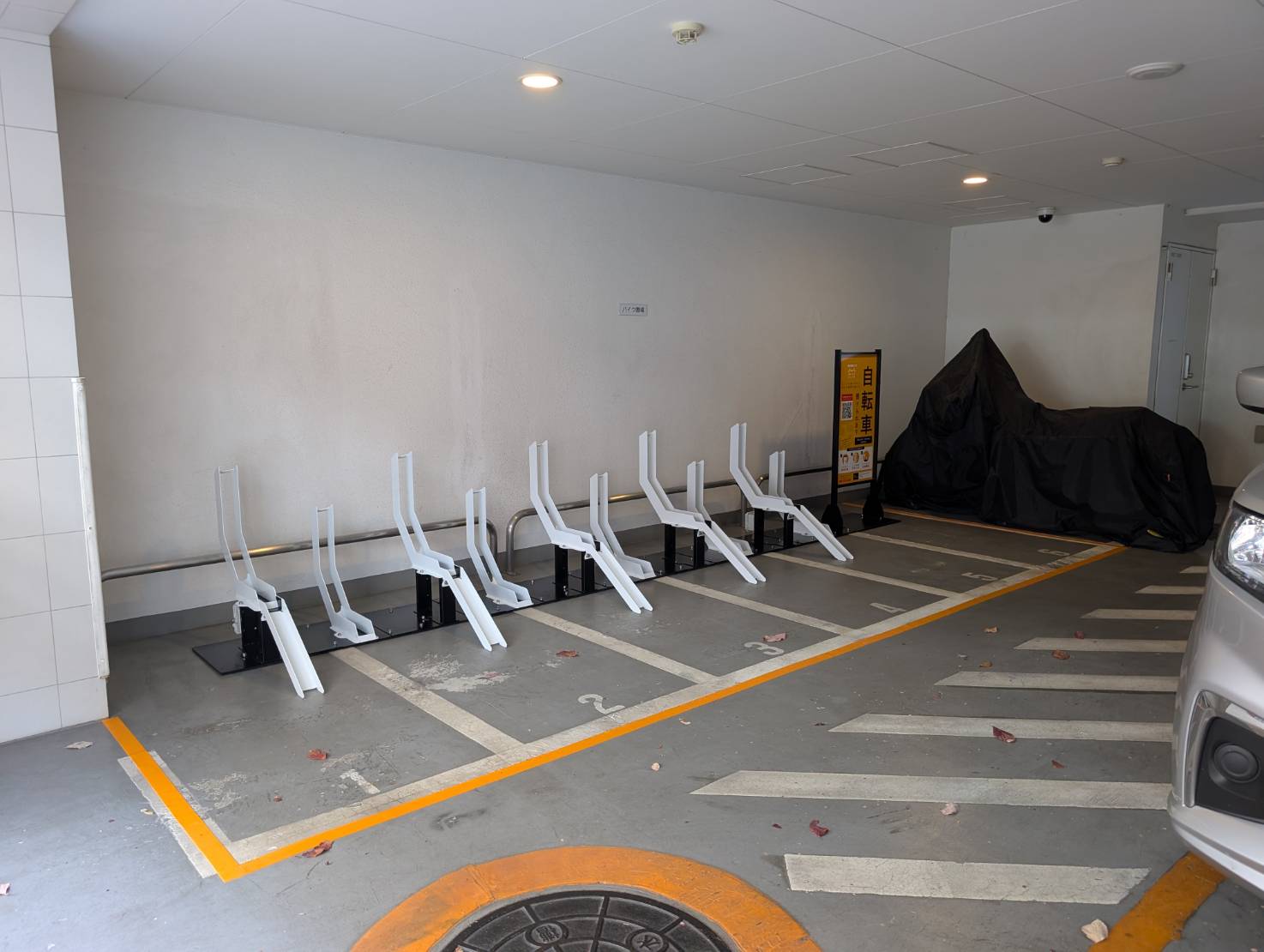 ベルファース新板橋