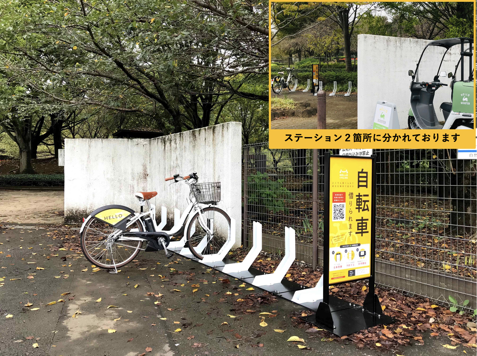 大宮花の丘農林公苑