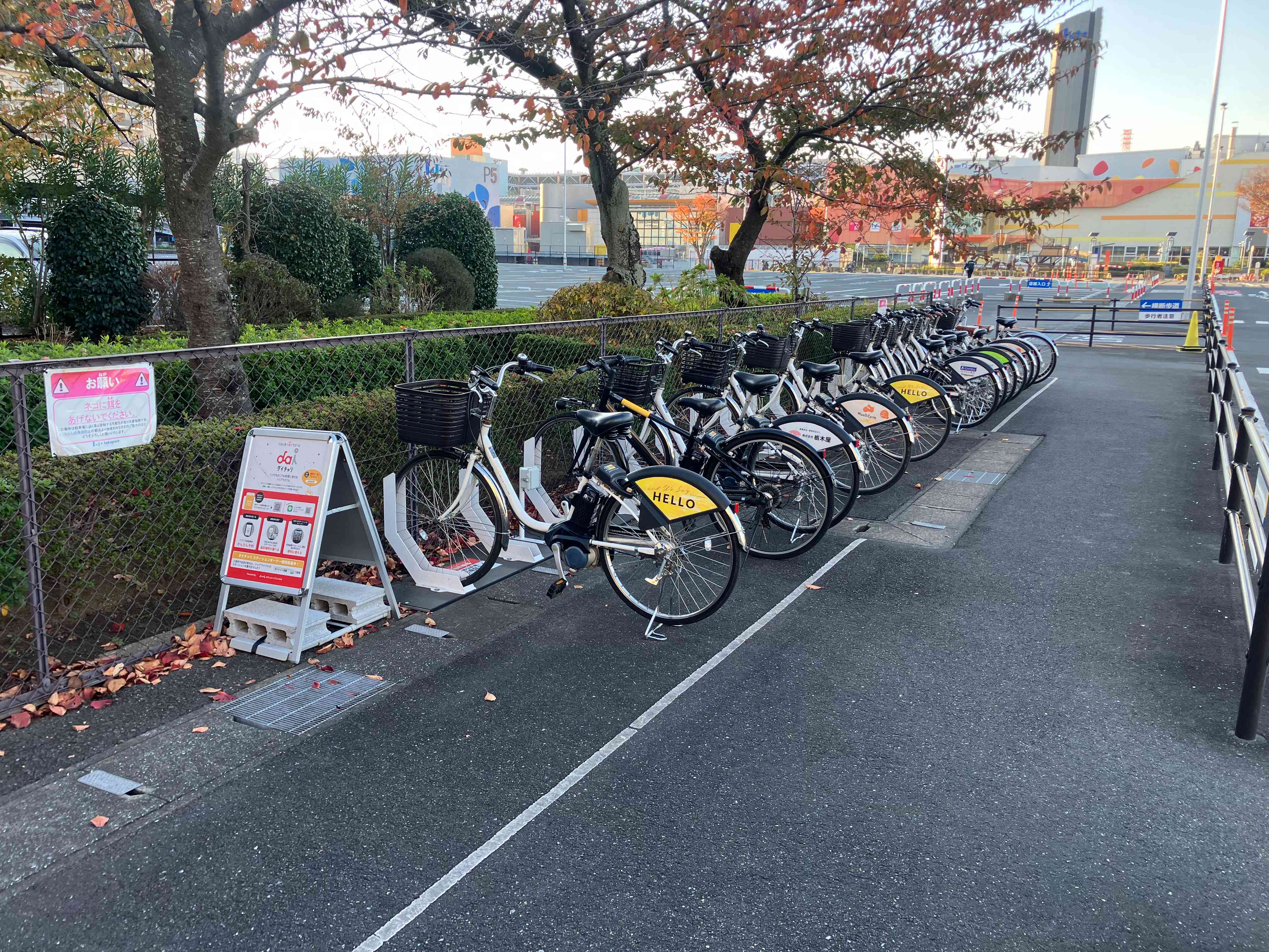 ららぽーとTOKYO-BAY　P6駐車場