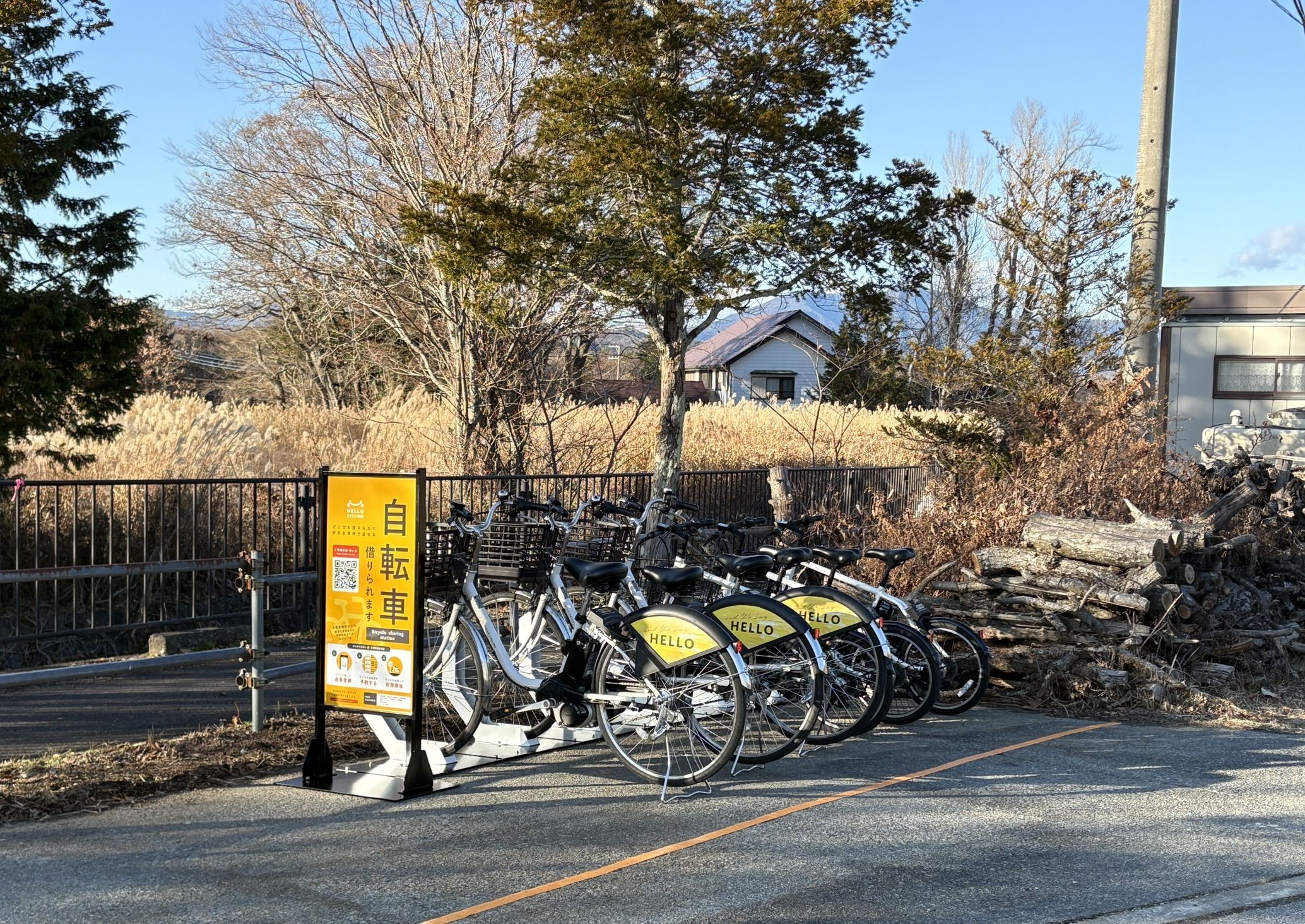 モス キャンプ フィールド