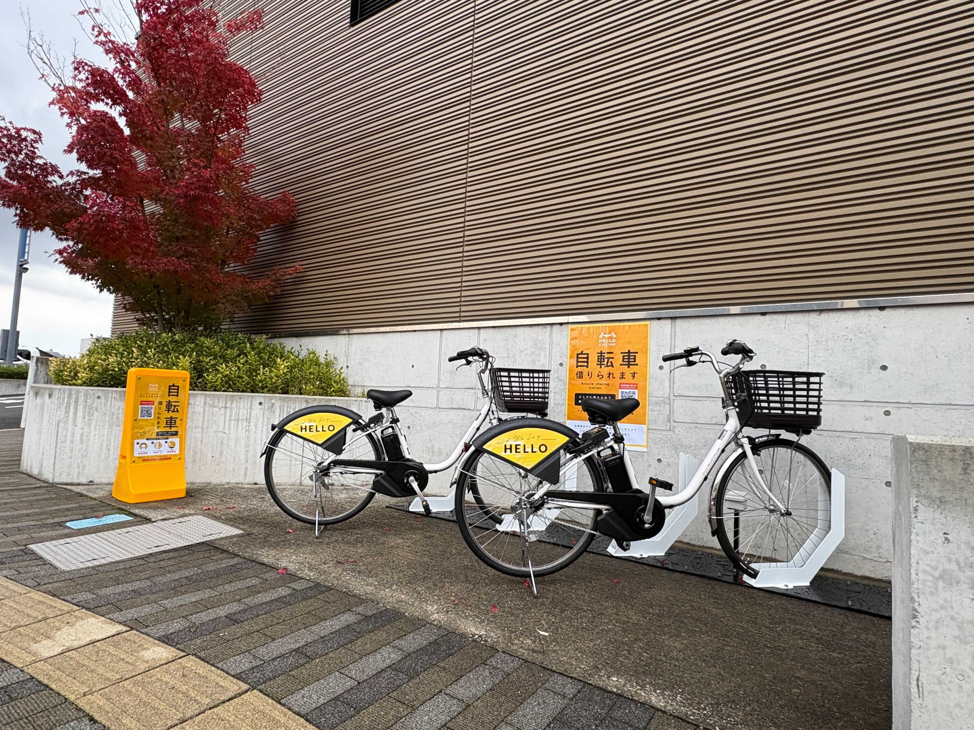 鳥取市役所本庁舎