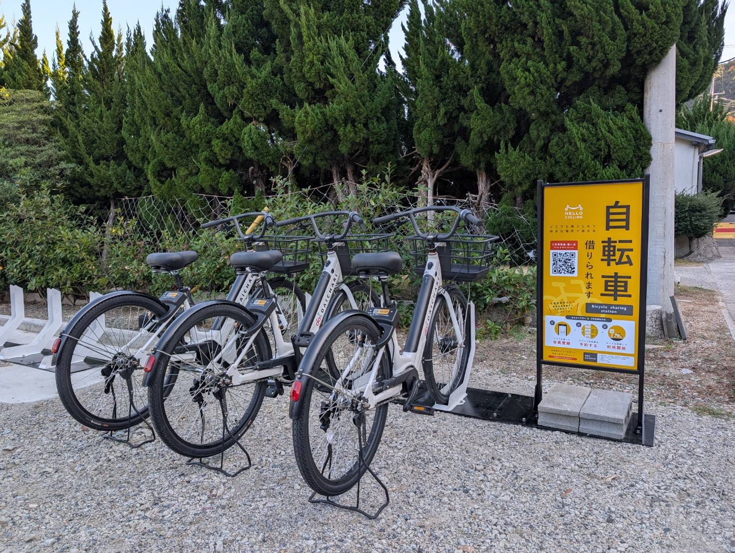 ◆小豆島◆シータイガー アイランドイン小豆島