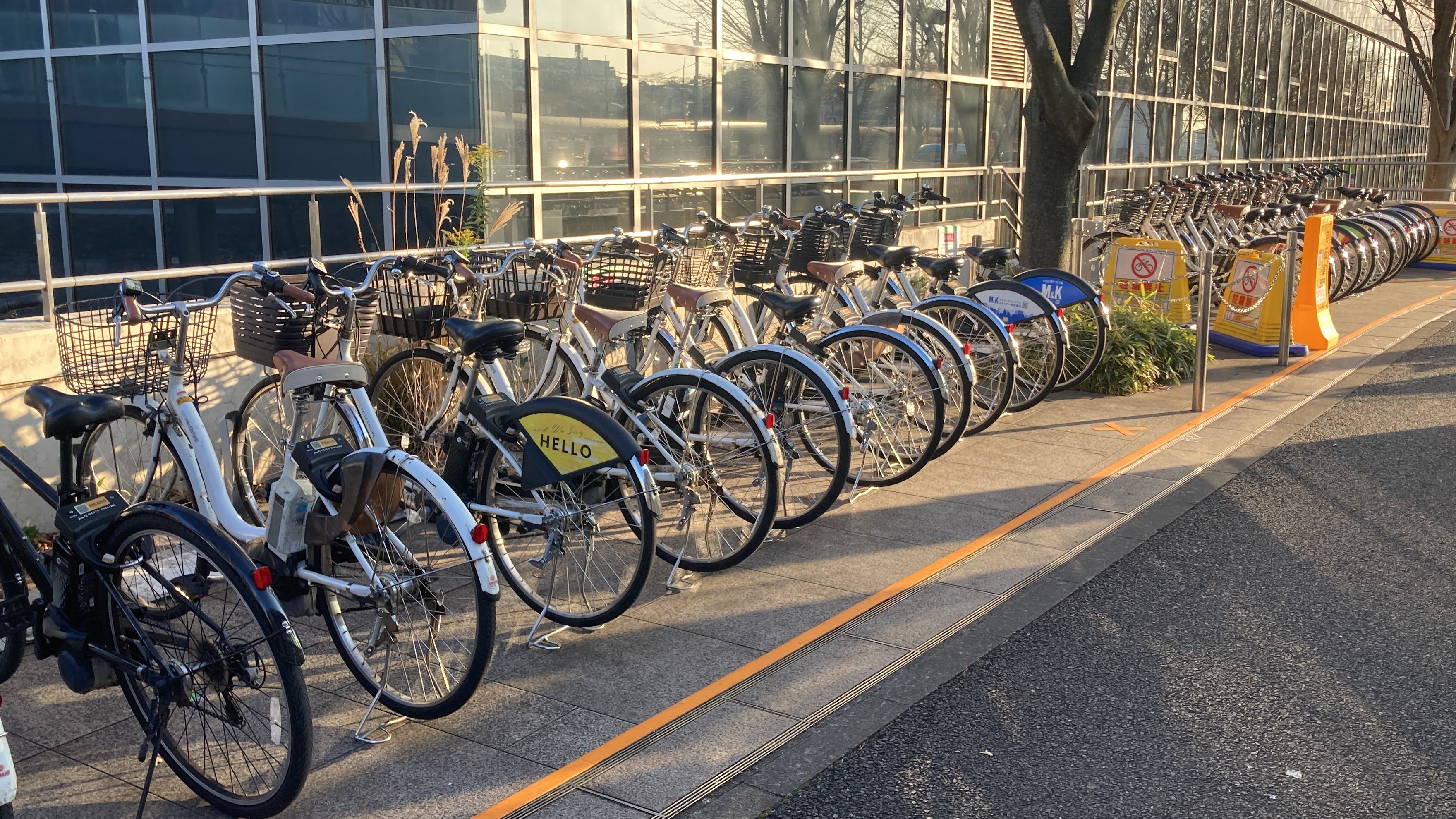 慶應大学日吉キャンパス前