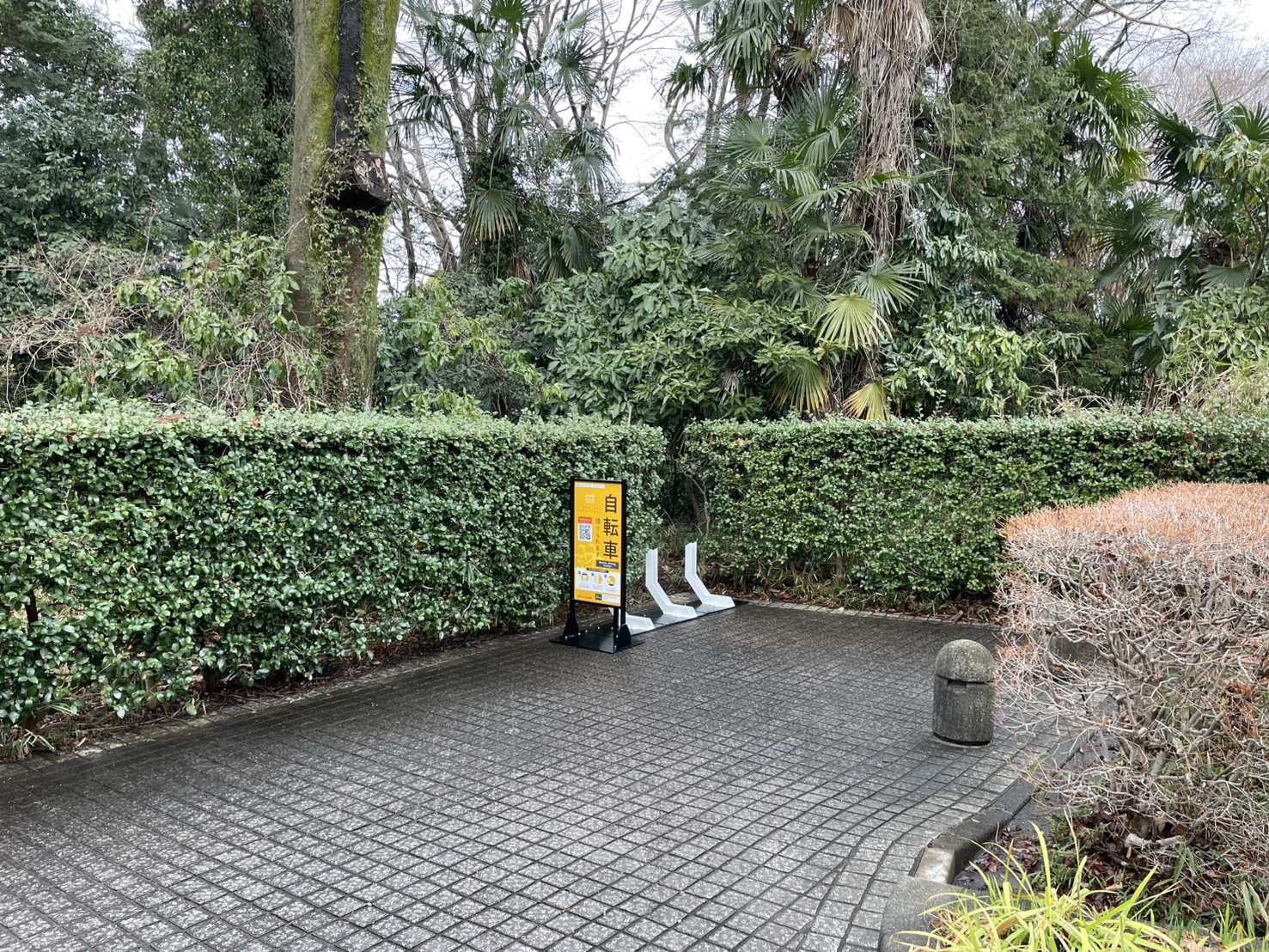 相模川自然の村公園 第2駐車場付近 (HELLO CYCLING ポート)の画像1