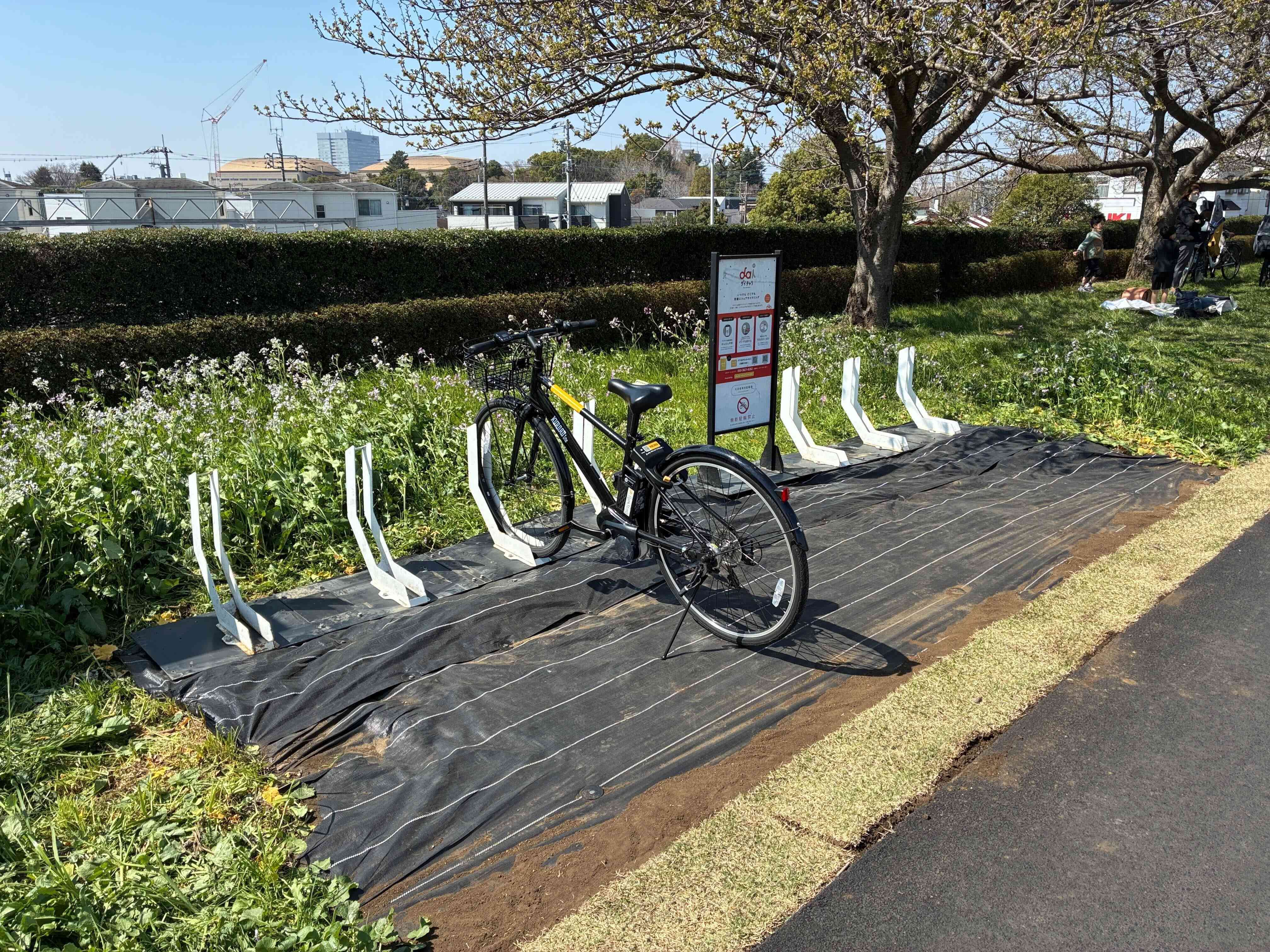 等々力桜並木沿い