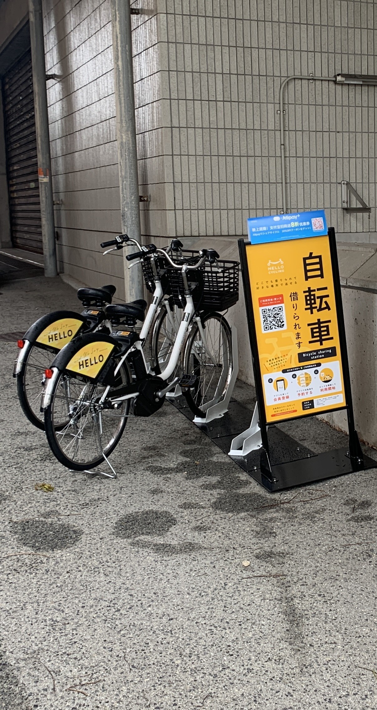 和歌山市立博物館 (HELLO CYCLING ポート)の画像1