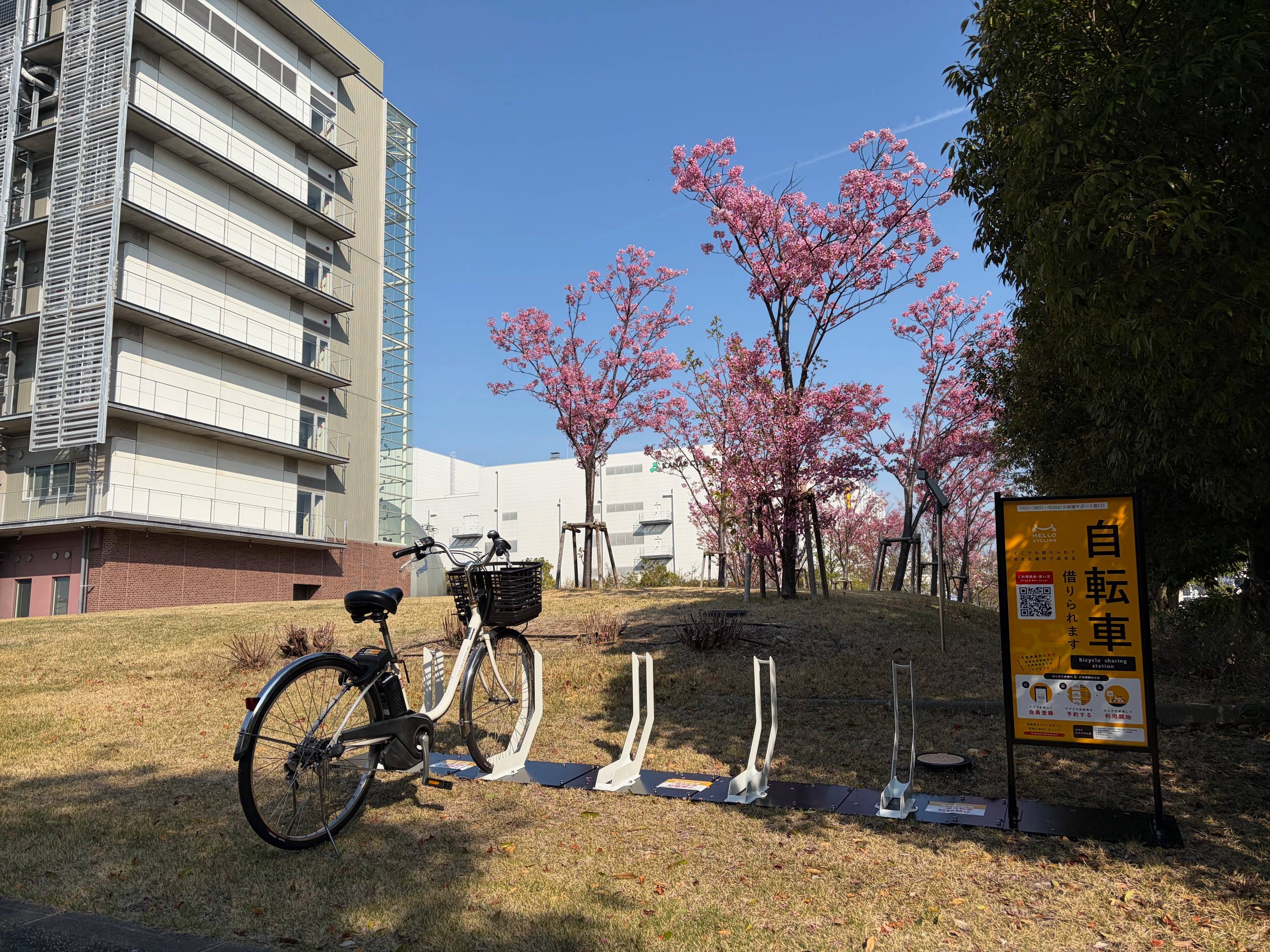 甲南大学　ポートアイランドキャンパス