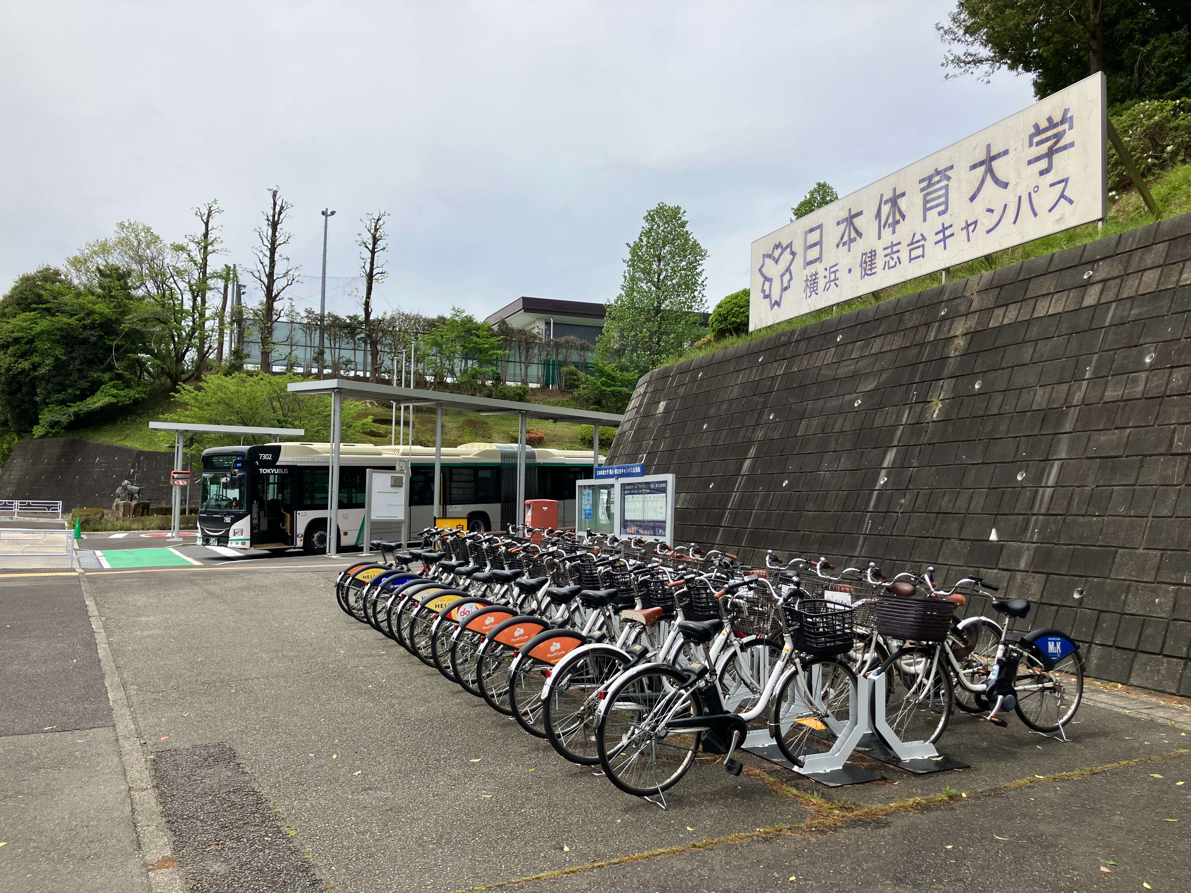 日本体育大学　横浜・健志台キャンパス