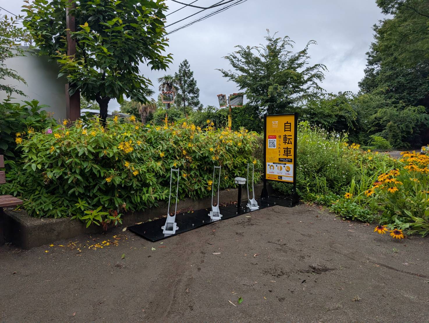 北町地域センター (HELLO CYCLING ポート)の画像1