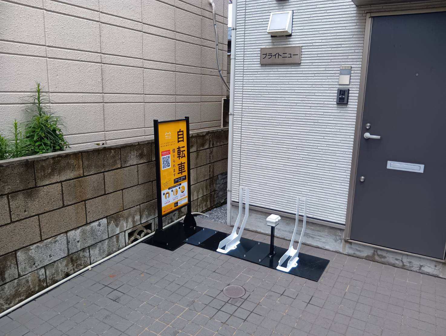 ブライトニュー
