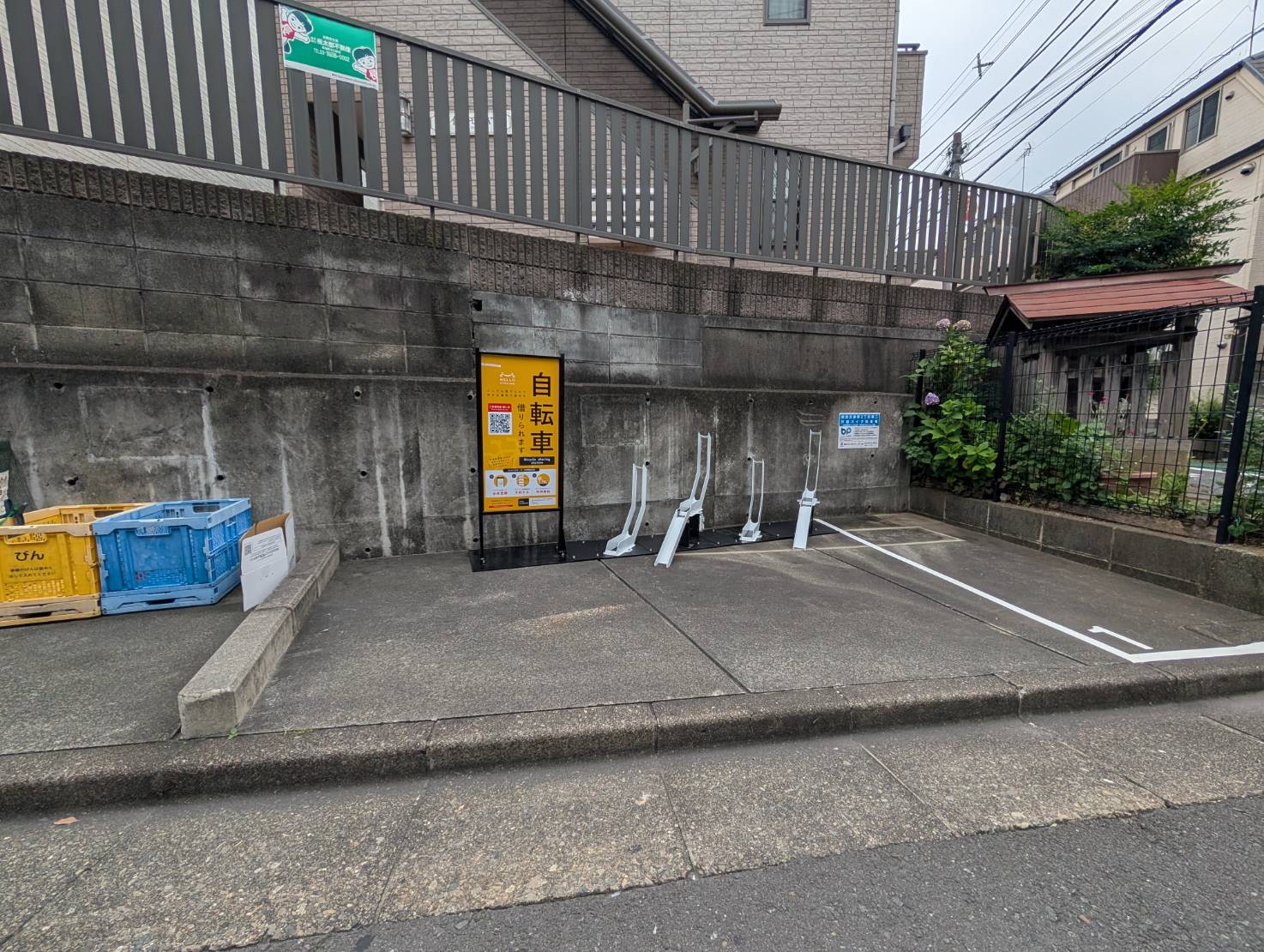 プランタンヨコヤツ