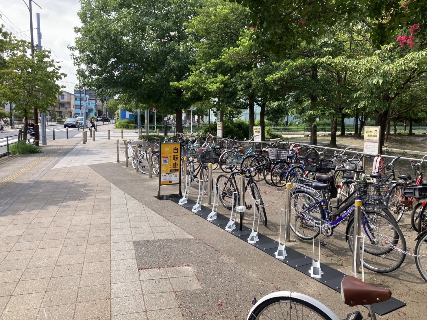 西新井さかえ公園 (HELLO CYCLING ポート)の画像1
